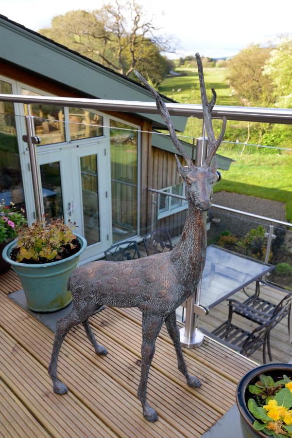 Black Burn Lodge B & B Newcastleton Eksteriør billede